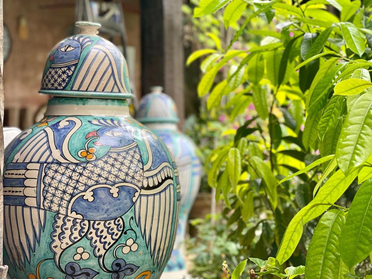 Bed and Breakfast Abeille Vence Exterior foto
