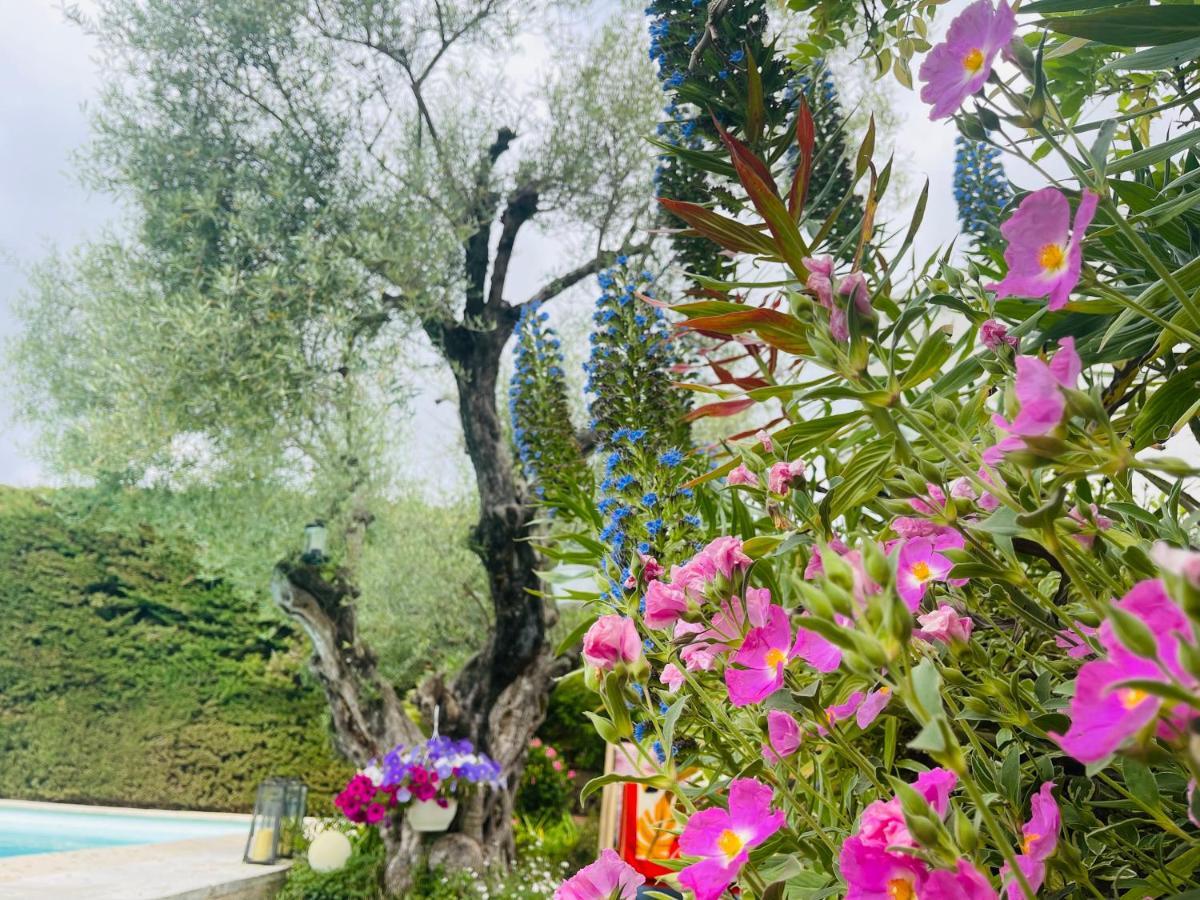 Bed and Breakfast Abeille Vence Exterior foto