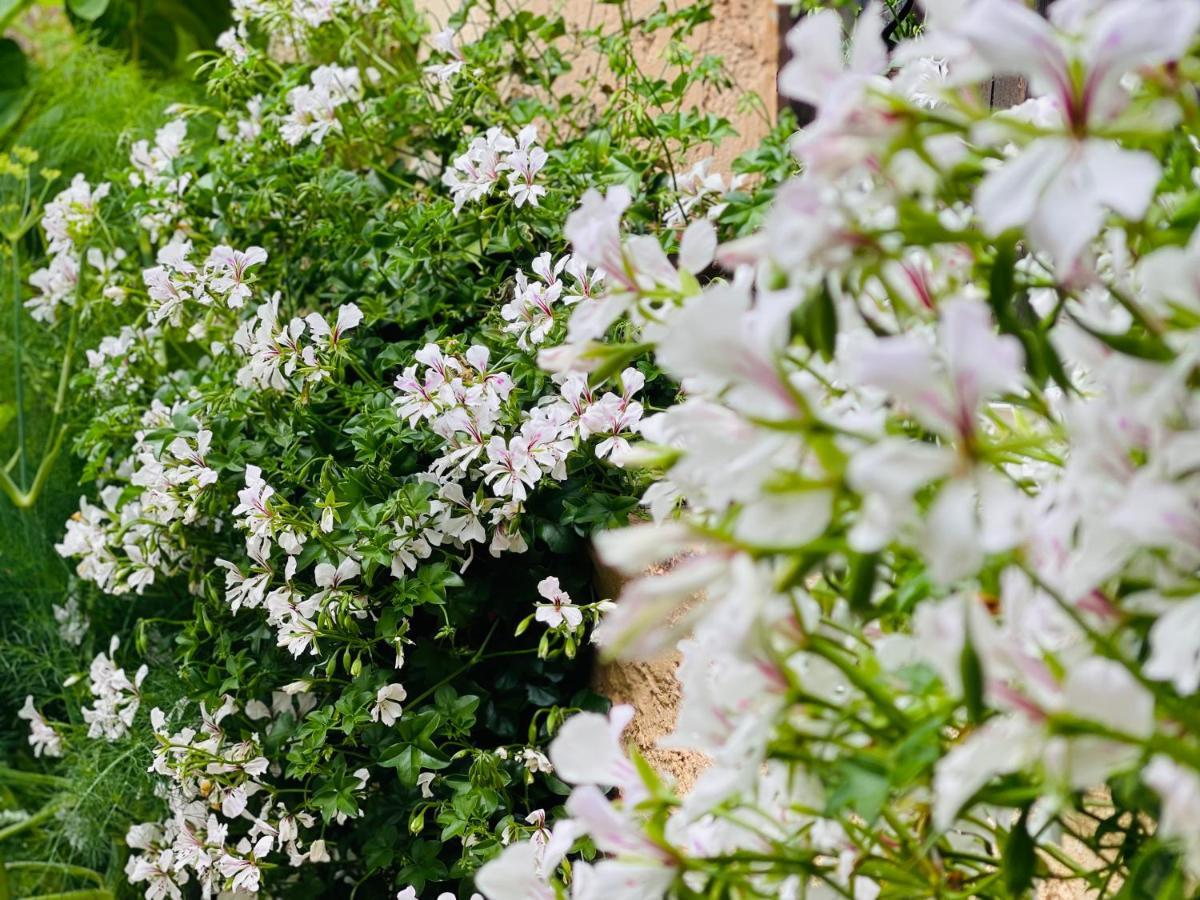 Bed and Breakfast Abeille Vence Exterior foto